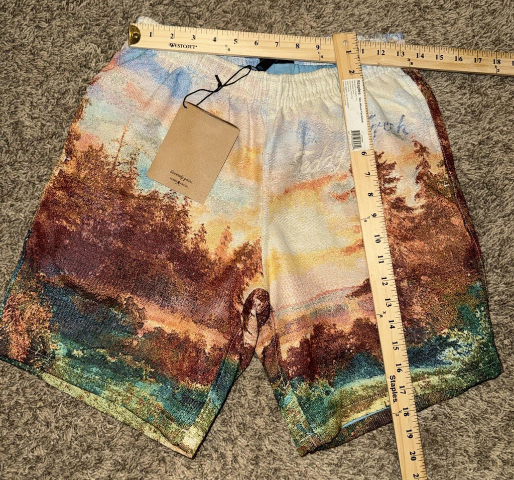 NEW RARE Teddy Fresh Samuel Finch Shorts Watercolor Landscape Print Size XS NWT