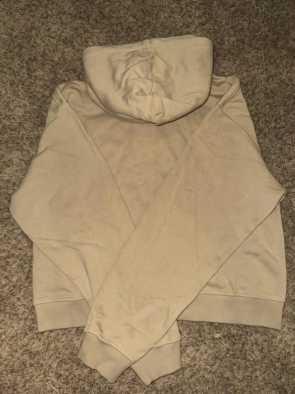 NEW Teddy Fresh Classic Hoodie  SIze Large  NWT SOLD OUT ONLINE