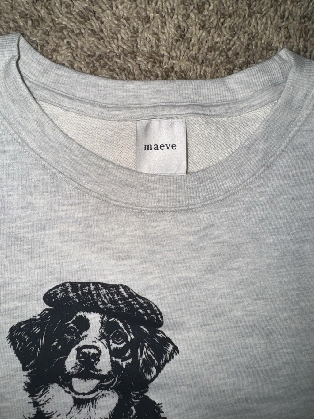 NWT ANTHROPOLOGIE MAEVE Best in Show Dog Sweatshirt SOLD OUT ONLINE!