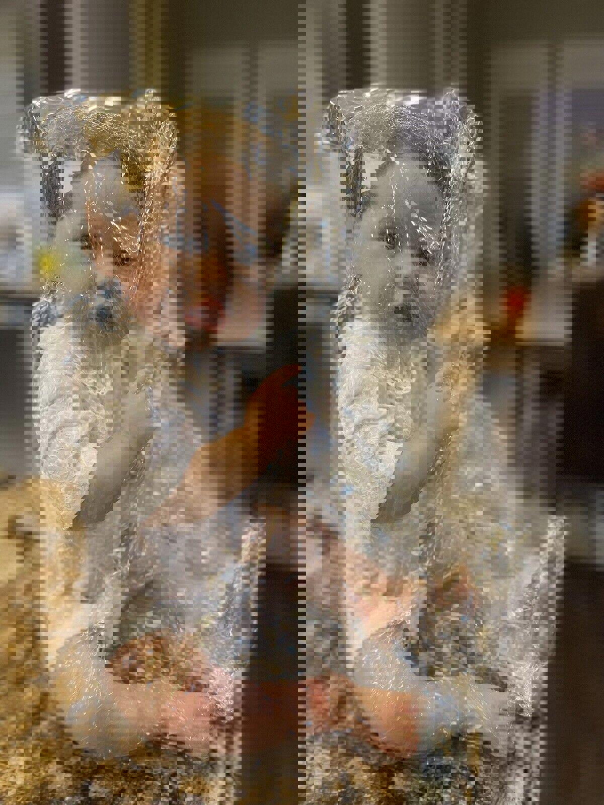 22" Lifelike SOFT Vinyl Reborn Baby Doll Newborn Toddler Gift Silicone. NEW